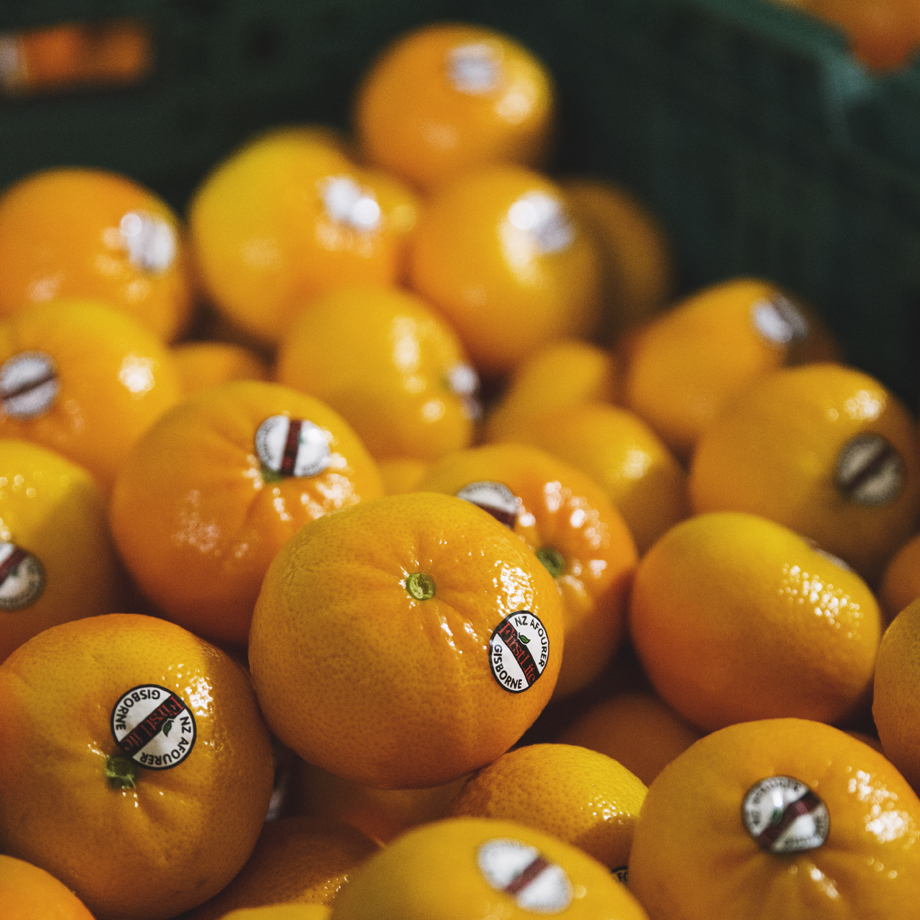 Zeafruit Citrus Marketing Afourer Mandarins
