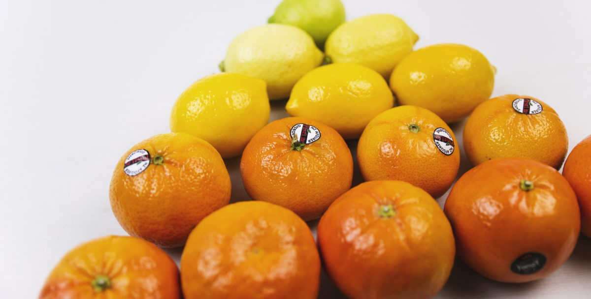 Zeafruit Citrus limes, lemons, mandarins, oranges, tangelos, and grapefruit